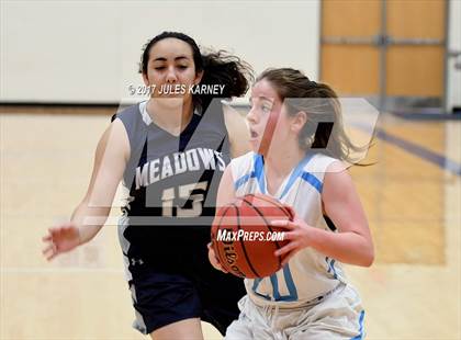 Thumbnail 3 in Adelson vs. Meadows photogallery.