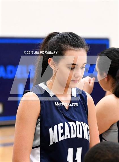 Thumbnail 2 in Adelson vs. Meadows photogallery.