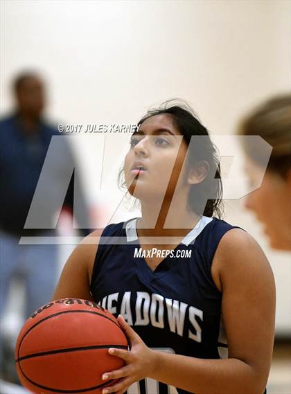 Thumbnail 3 in Adelson vs. Meadows photogallery.