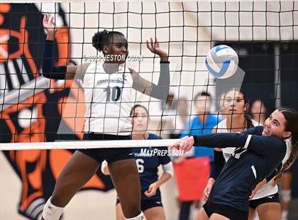 Thumbnail 2 in Venice @ Cypress (CIF State D3 First Round Playoffs) photogallery.