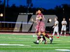 Photo from the gallery "Pine Bush @ Kingston"