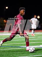 Photo from the gallery "Pine Bush @ Kingston"