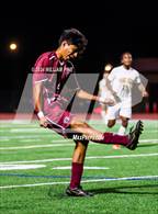 Photo from the gallery "Pine Bush @ Kingston"