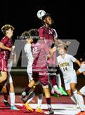 Photo from the gallery "Pine Bush @ Kingston"