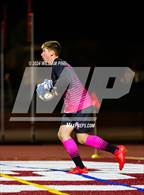 Photo from the gallery "Pine Bush @ Kingston"