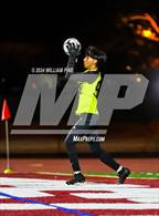 Photo from the gallery "Pine Bush @ Kingston"