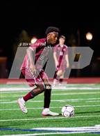 Photo from the gallery "Pine Bush @ Kingston"