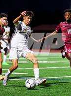 Photo from the gallery "Pine Bush @ Kingston"