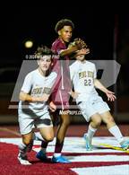 Photo from the gallery "Pine Bush @ Kingston"