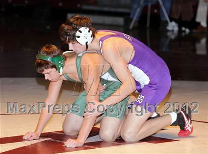 Thumbnail 1 in Bonny Eagle @ Marshwood photogallery.