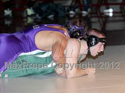Thumbnail 1 in Bonny Eagle @ Marshwood photogallery.
