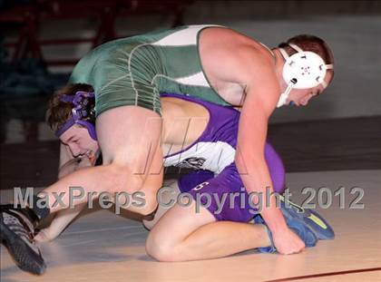 Thumbnail 2 in Bonny Eagle @ Marshwood photogallery.