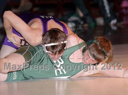 Thumbnail 1 in Bonny Eagle @ Marshwood photogallery.