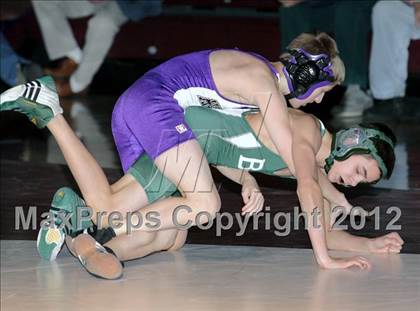 Thumbnail 1 in Bonny Eagle @ Marshwood photogallery.