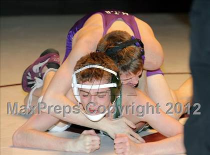 Thumbnail 1 in Bonny Eagle @ Marshwood photogallery.