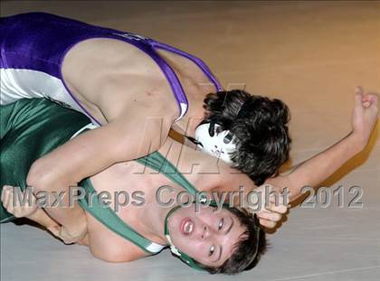 Thumbnail 2 in Bonny Eagle @ Marshwood photogallery.