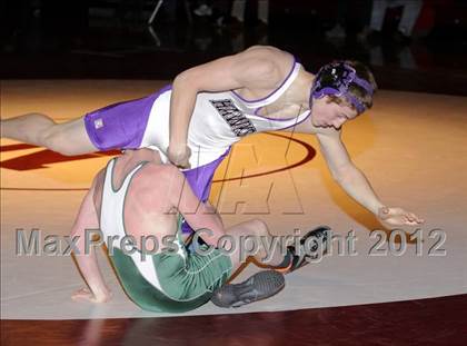 Thumbnail 1 in Bonny Eagle @ Marshwood photogallery.