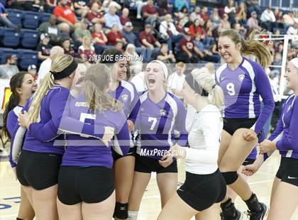 Thumbnail 2 in Sierra vs. Minarets (CIF D4 Central Section Championship) photogallery.
