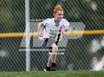 Thumbnail 1 in Northgate @ Shenango photogallery.