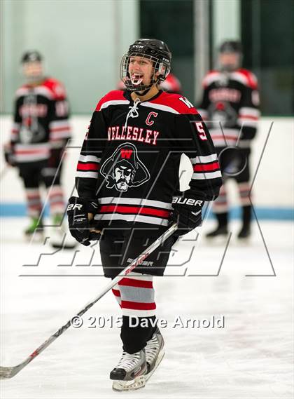 Thumbnail 1 in Wellesley @ Needham photogallery.
