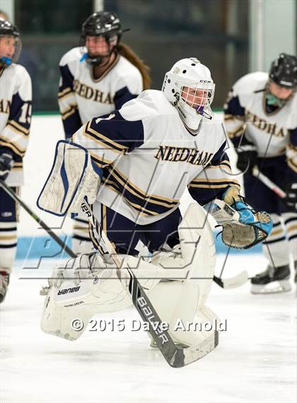 Thumbnail 1 in Wellesley @ Needham photogallery.