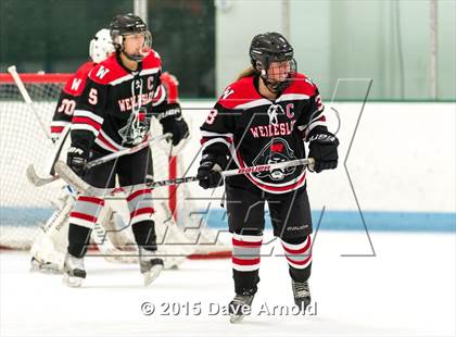Thumbnail 3 in Wellesley @ Needham photogallery.