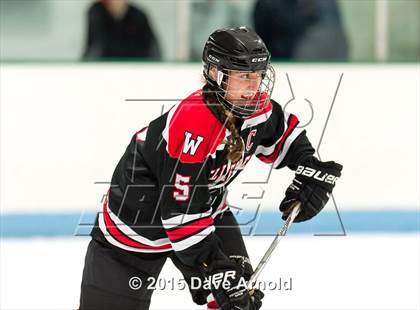 Thumbnail 3 in Wellesley @ Needham photogallery.