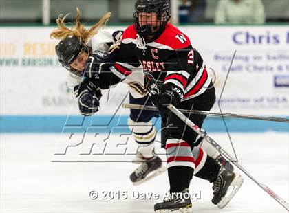 Thumbnail 1 in Wellesley @ Needham photogallery.