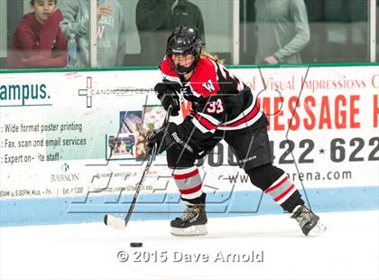 Thumbnail 3 in Wellesley @ Needham photogallery.