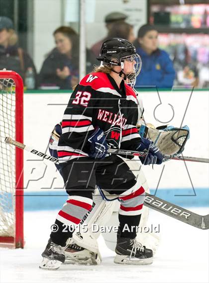 Thumbnail 3 in Wellesley @ Needham photogallery.