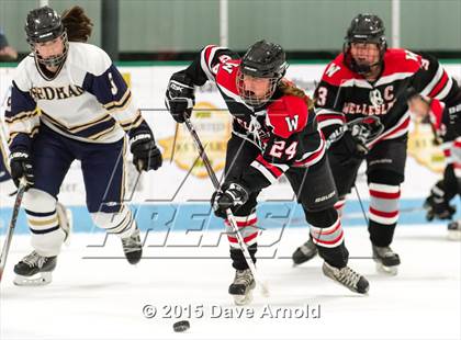 Thumbnail 3 in Wellesley @ Needham photogallery.