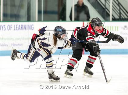 Thumbnail 1 in Wellesley @ Needham photogallery.