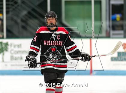 Thumbnail 2 in Wellesley @ Needham photogallery.