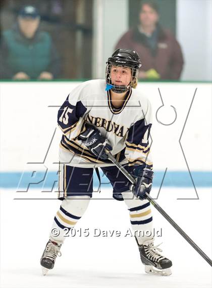 Thumbnail 3 in Wellesley @ Needham photogallery.