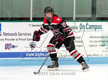 Thumbnail 3 in Wellesley @ Needham photogallery.