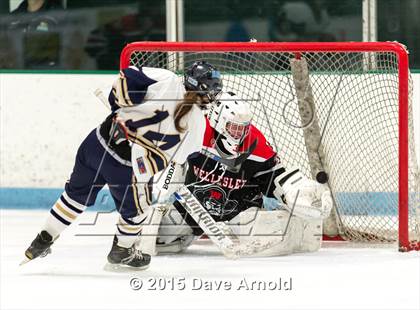 Thumbnail 1 in Wellesley @ Needham photogallery.