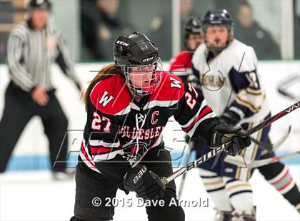 Thumbnail 1 in Wellesley @ Needham photogallery.