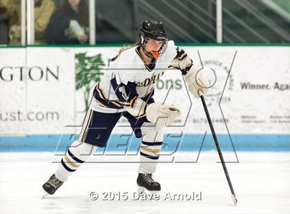 Thumbnail 2 in Wellesley @ Needham photogallery.
