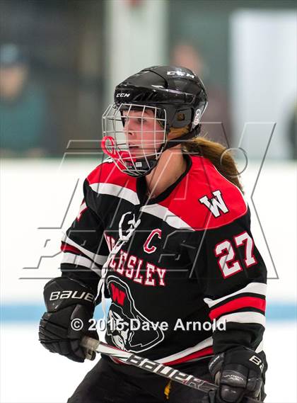 Thumbnail 2 in Wellesley @ Needham photogallery.