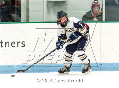 Thumbnail 1 in Wellesley @ Needham photogallery.