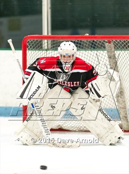 Thumbnail 1 in Wellesley @ Needham photogallery.