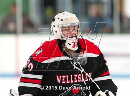 Thumbnail 1 in Wellesley @ Needham photogallery.