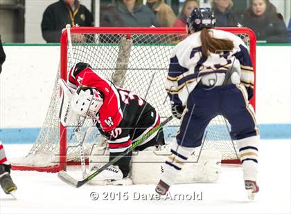 Thumbnail 2 in Wellesley @ Needham photogallery.