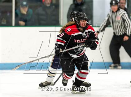 Thumbnail 1 in Wellesley @ Needham photogallery.