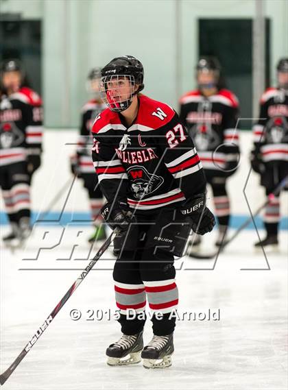 Thumbnail 1 in Wellesley @ Needham photogallery.