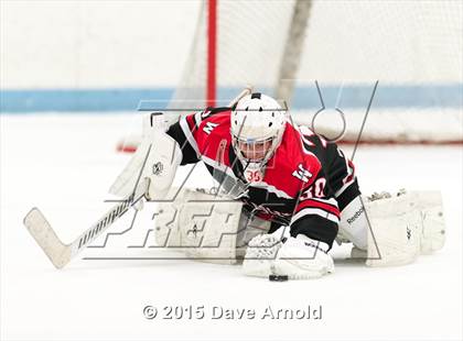 Thumbnail 1 in Wellesley @ Needham photogallery.