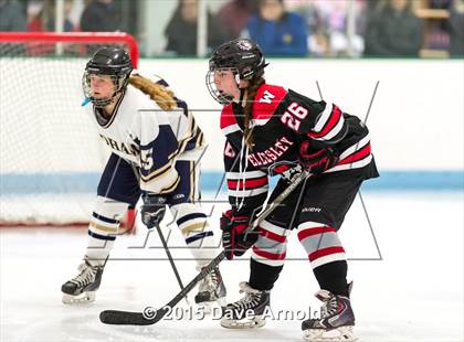 Thumbnail 1 in Wellesley @ Needham photogallery.