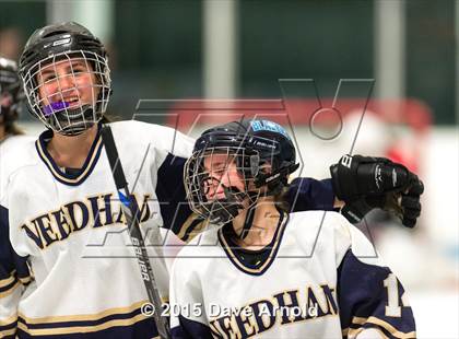 Thumbnail 1 in Wellesley @ Needham photogallery.