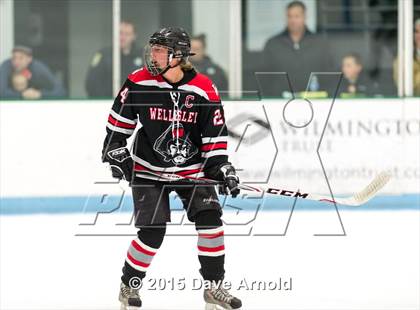 Thumbnail 1 in Wellesley @ Needham photogallery.