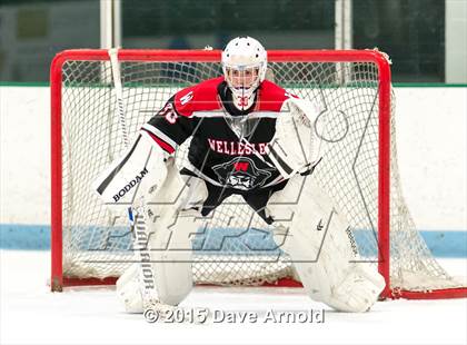 Thumbnail 3 in Wellesley @ Needham photogallery.
